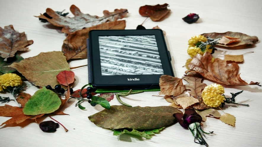 A photograph of a Kindle device atop a pile of fall leaves on a white background. 